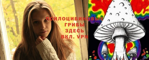 меф Алексин
