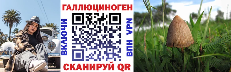 наркота  Калачинск  Галлюциногенные грибы Psilocybe 